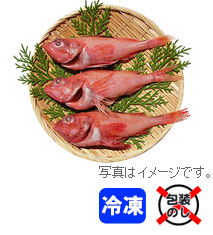 キンキ姿生3尾